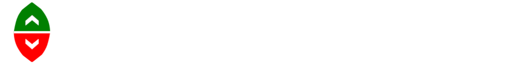 FootballElo.com logo